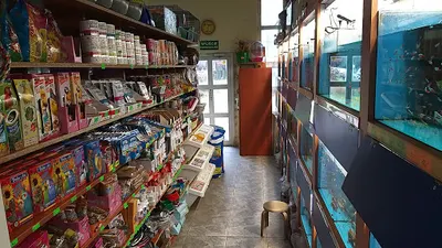 Wodny Świat. Sklep zoologiczny. Bytnar-Ziontek B.